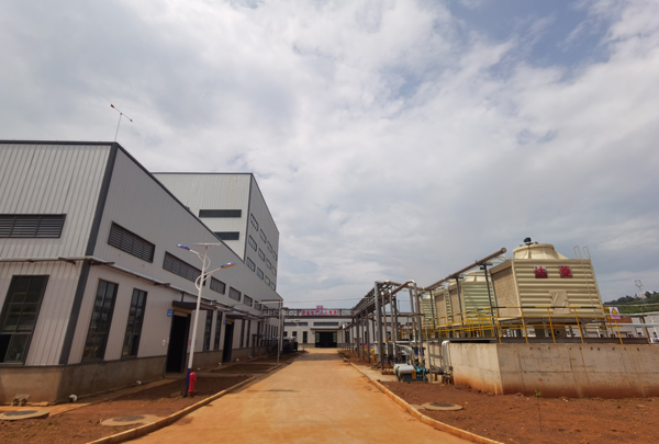 廠(chǎng)區環(huán)境